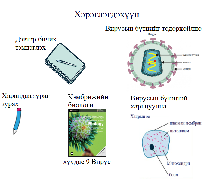 Мэдлээ | Цахим контент